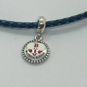 ✨✨Pandora Northern Ireland Flag Charm S925 Silver with box